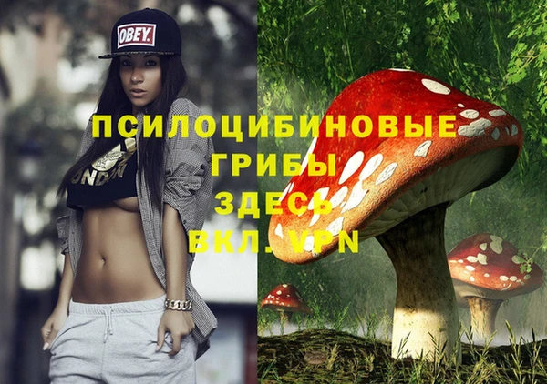 альфа пвп Краснотурьинск
